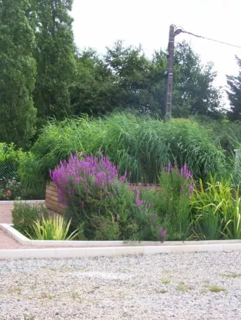 Filtre fleuri d'un an