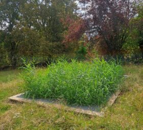 Jardin d'Assainissement