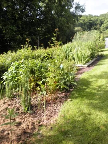 Jardin d'Assainissement