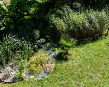 Jardin d'Assainissement
