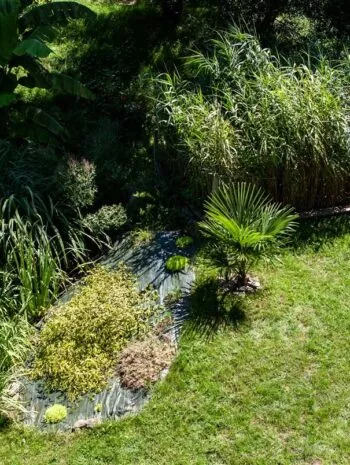 Jardin d'Assainissement