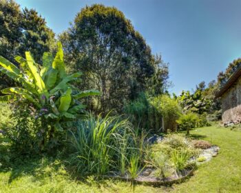 Jardin d'Assainissement