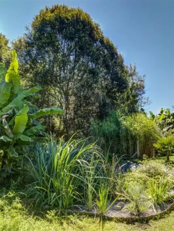 Jardin d'Assainissement