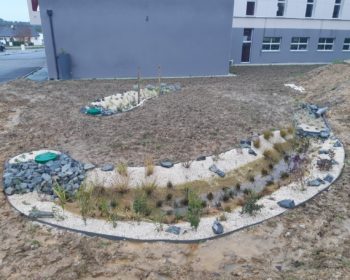 Jardin de pluie 1 mois après réalisation