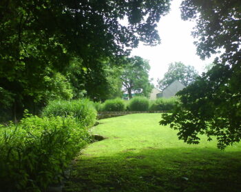 Jardin d'Assainissement