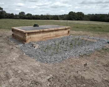 Chantier phytoépuration