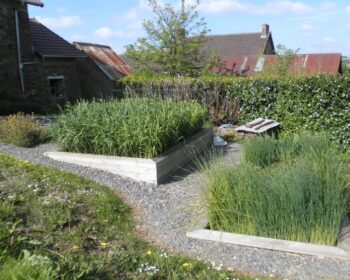 Jardin d'Assainissement