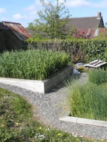 Jardin d'Assainissement