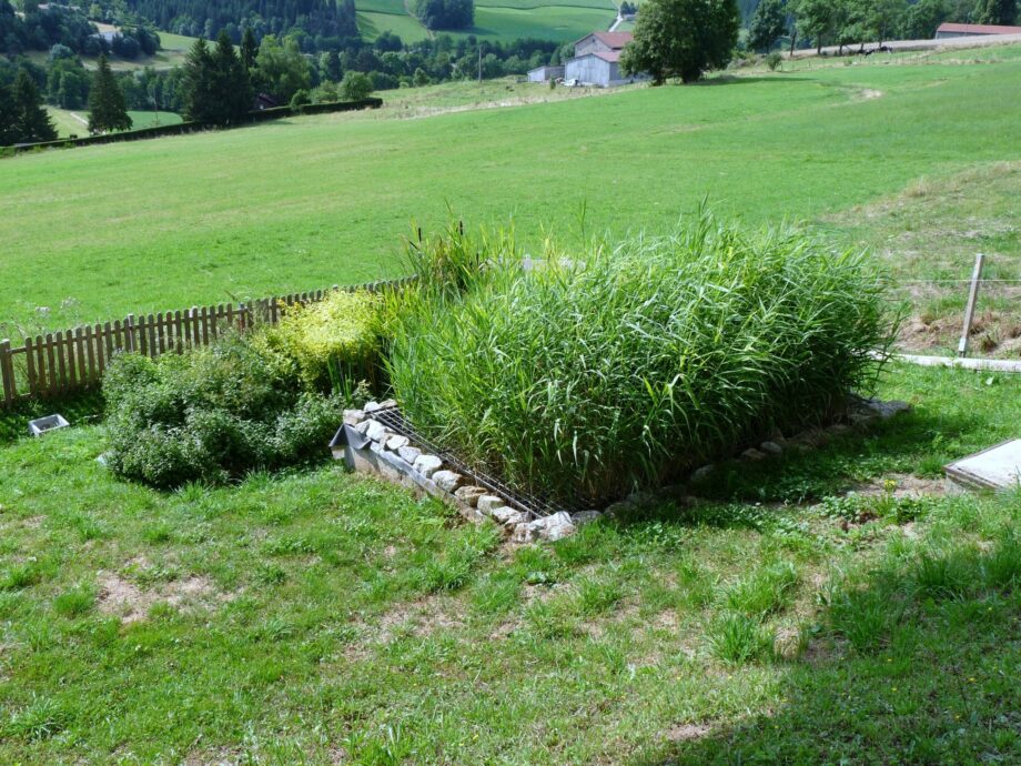 Jardin d'Assainissement