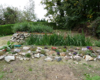Jardin d'Assainissement Aquatiris