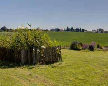 Jardin d'Assainissement