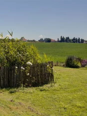 Jardin d'Assainissement