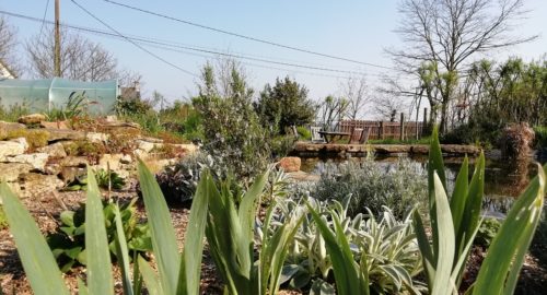Jardin de pluie à la parcelle