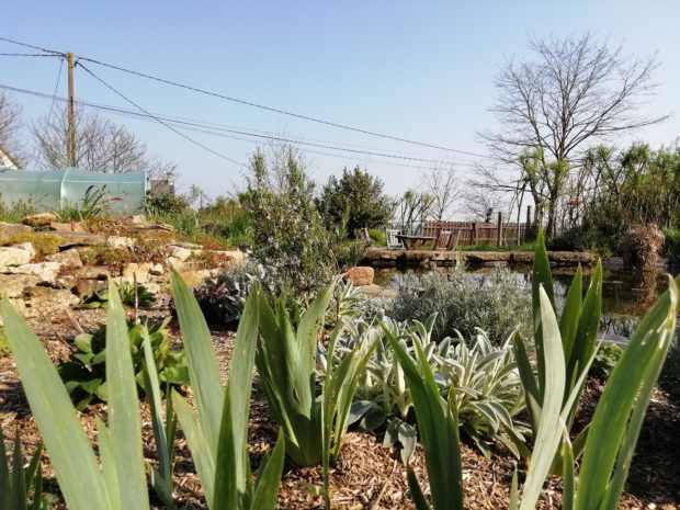 Jardin de pluie à la parcelle
