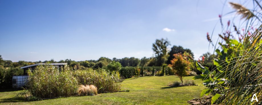 Jardin d'Assainissement Aquatiris - Gamme Roseaux 16