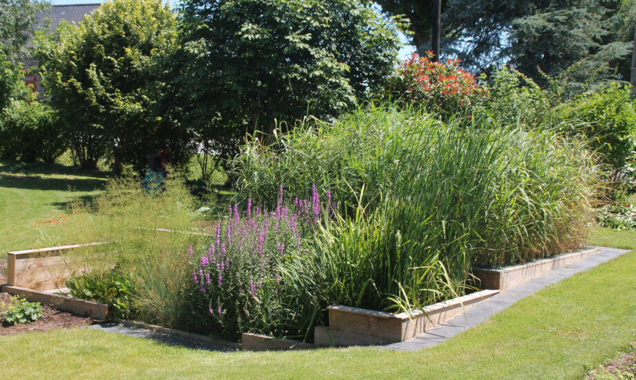 Jardin d'Assainissement Aquatiris - Gamme Iris