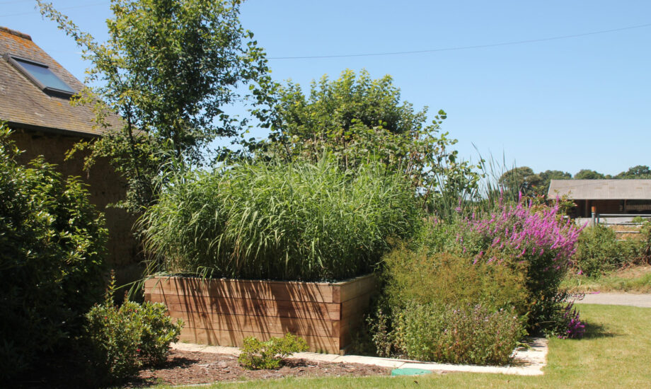 Jardin d'Assainissement Aquatiris - Gamme Iris