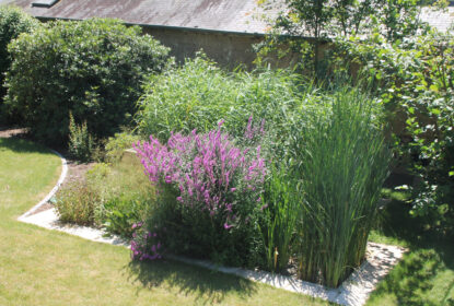 Jardin d'Assainissement Aquatiris - Gamme Iris