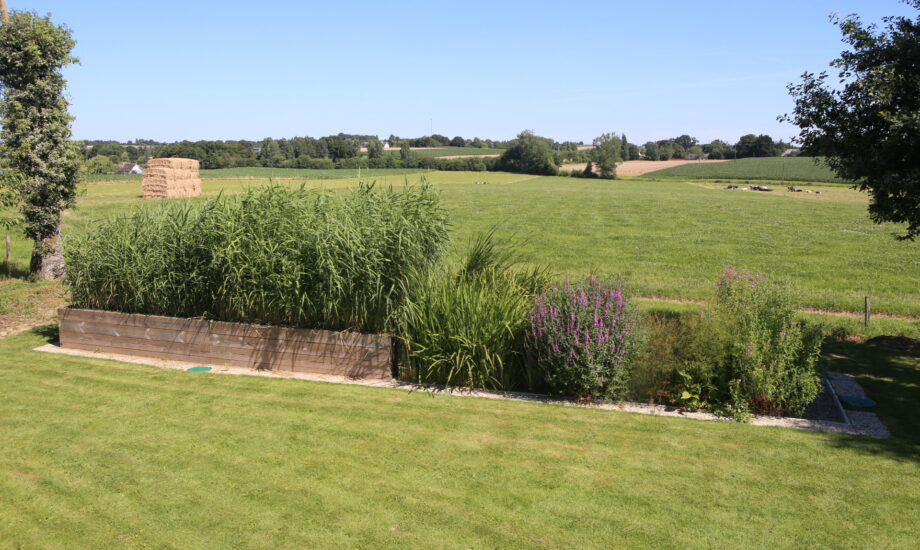 Jardin d'Assainissement Aquatiris - Gamme Iris