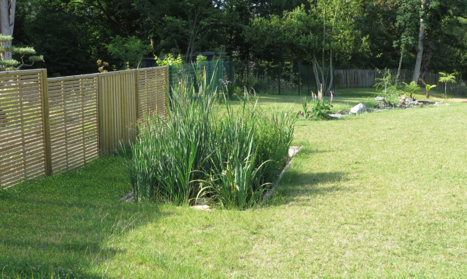 Jardin d'Assainissement Aquatiris - Gamme Iris