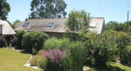 Sanitation Garden 10