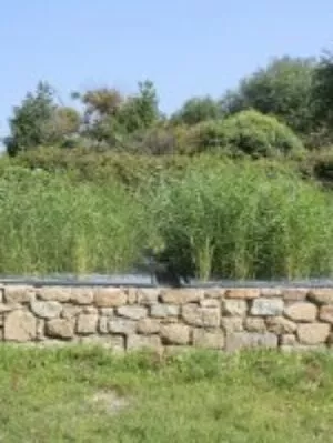 Sanitation Garden 18