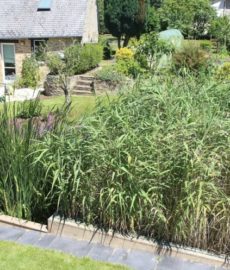 Jardin d'Assainissement Aquatiris