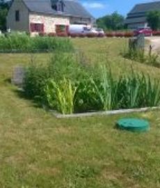 Sanitation Garden 31