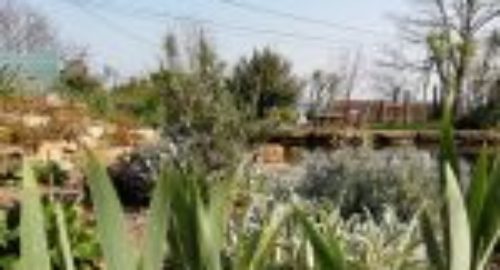 Jardin de Pluie