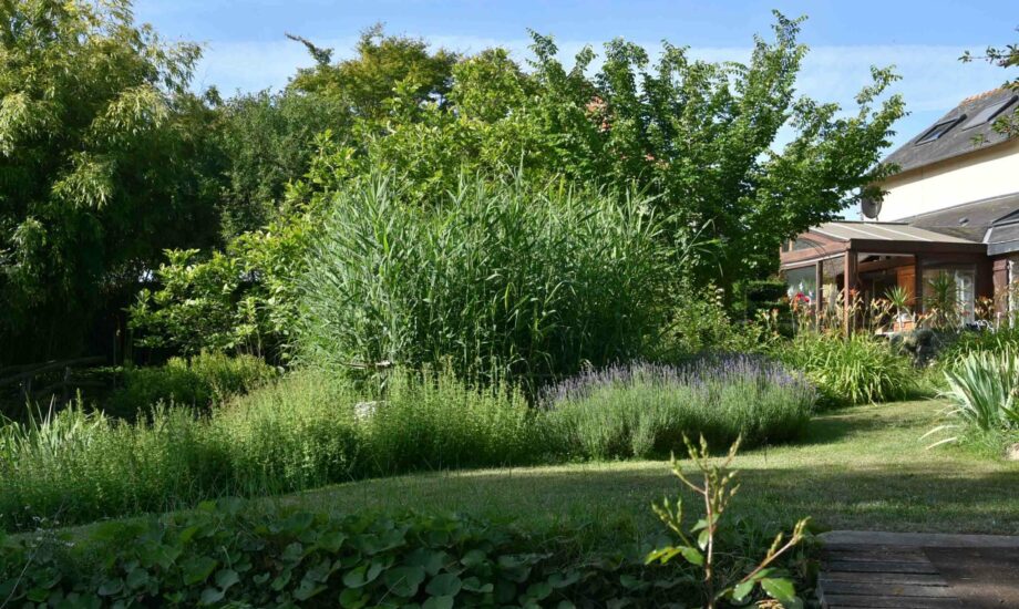 Jardin d'Assainissement