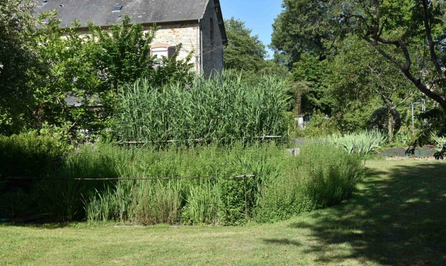 Jardin d'Assainissement