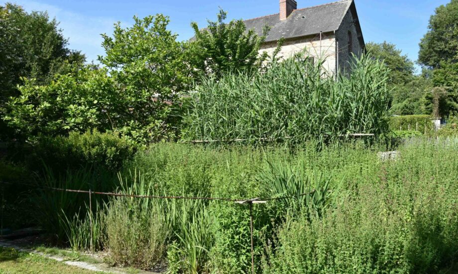 Jardin d'Assainissement