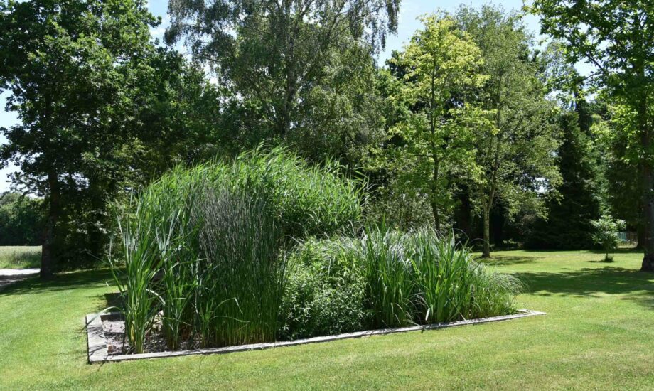 Jardin d'Assainissement