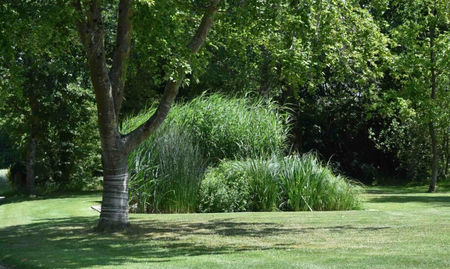 Jardin d'Assainissement