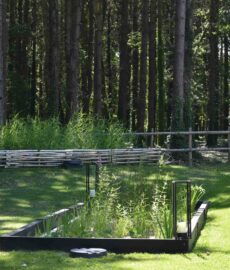 Jardin d'Assainissement