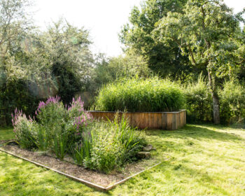 Jardin d'Assainissement
