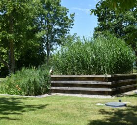 Jardin d'Assainissement