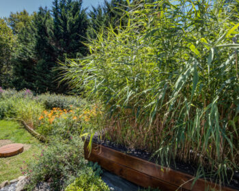 Jardin d'Assainissement Aquatiris