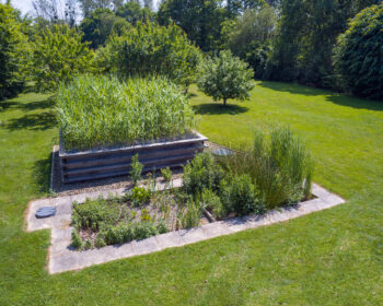 Jardin d'Assainissement Aquatiris