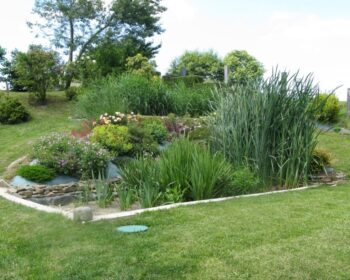 Jardin d'Assainissement Aquatiris