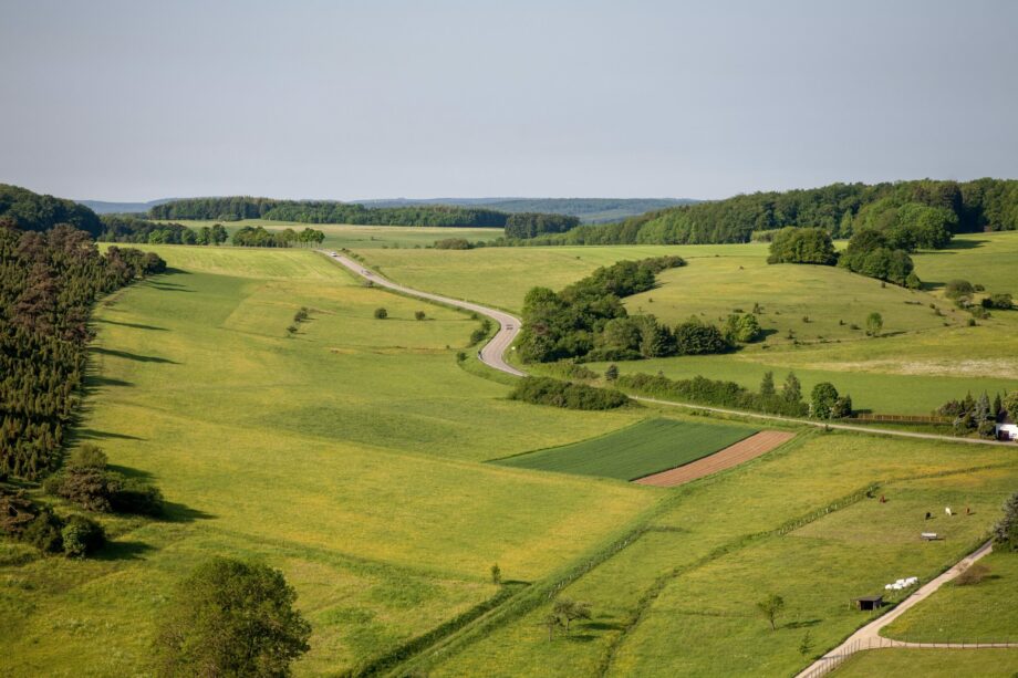 Vue aérienne de terres
