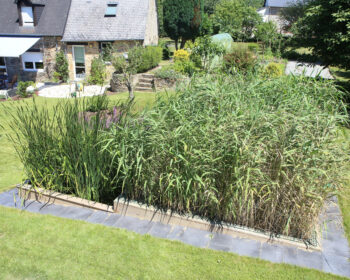 Jardin d'Assainissement Aquatiris