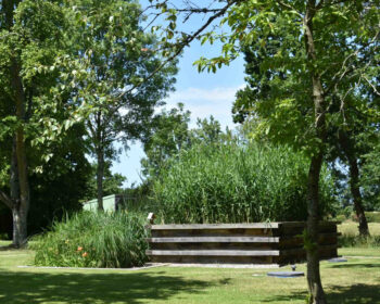 Jardin d'Assainissement Aquatiris