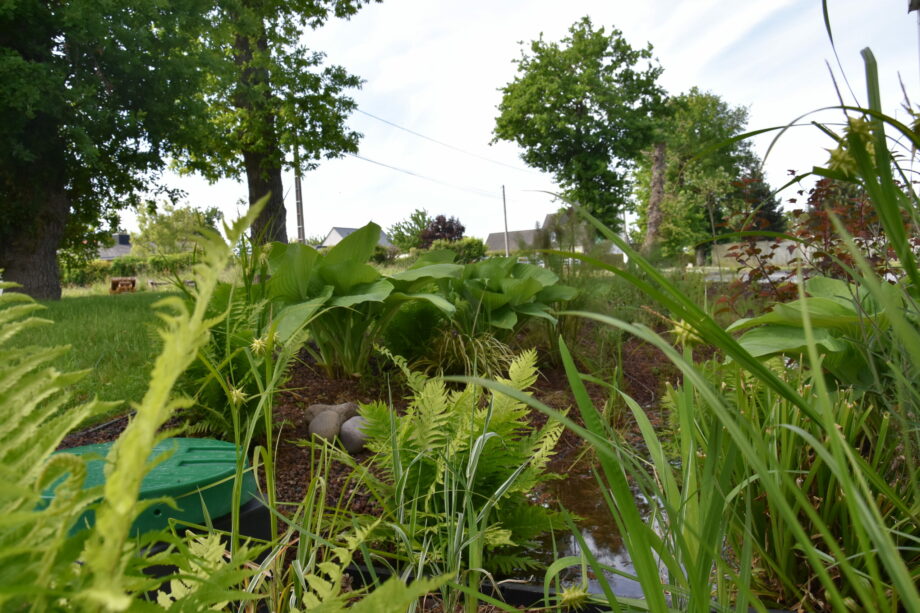 Jardin de Pluie Aquatiris