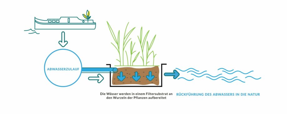 SCHEMA PHYTOFLOTTANTE DE