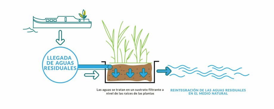 SCHEMA PHYTOFLOTTANTE ES
