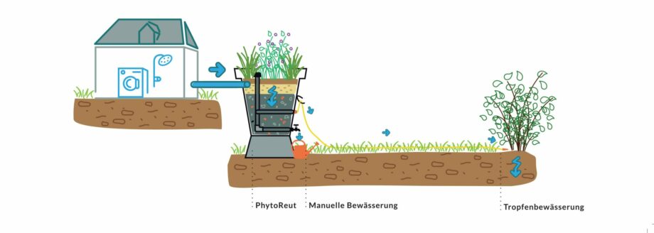 SCHEMA PHYTOREUT DE