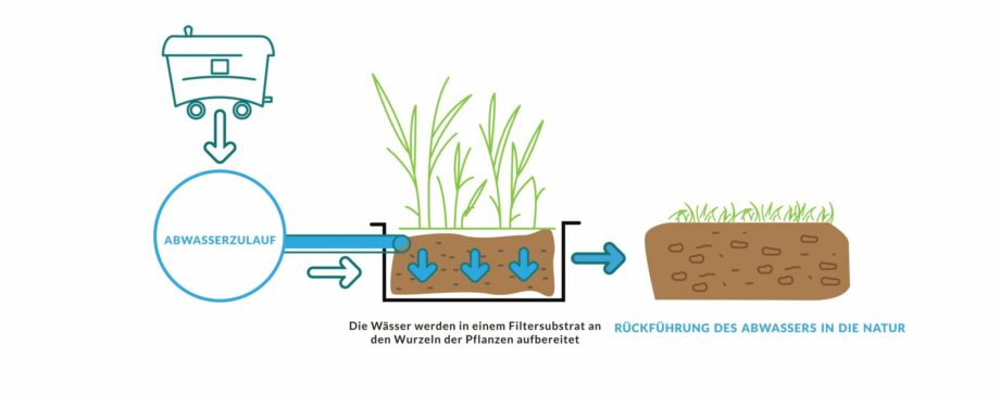 SCHEMA PHYTOTINY DE