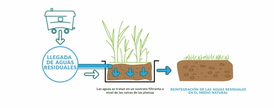 SCHEMA PHYTOTINY ES