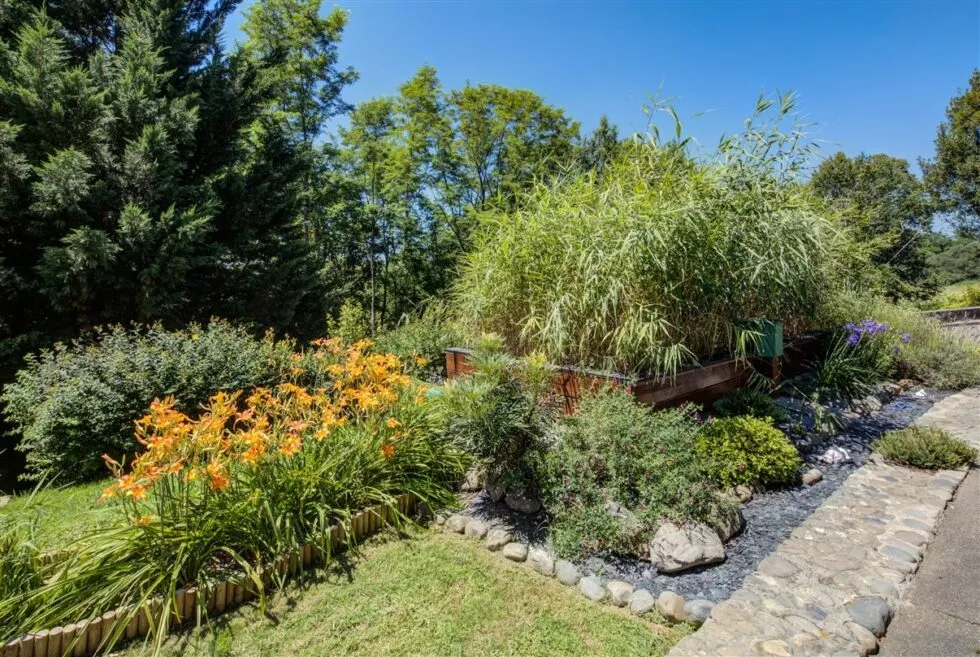 Sanitation Garden Aquatiris